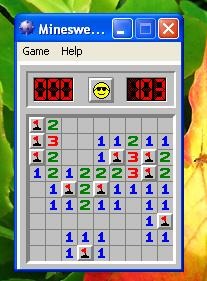 minesweeper-cc-Flickr-megankhines